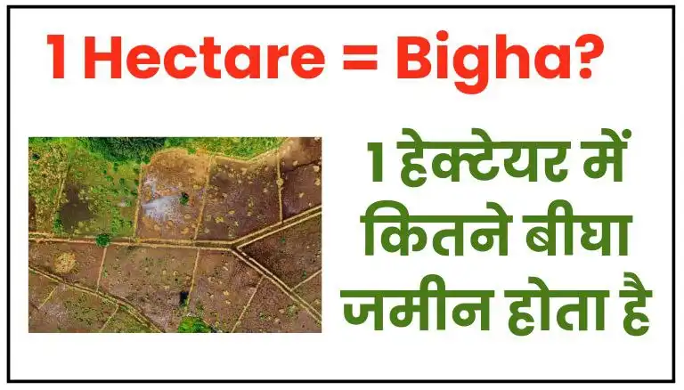 1 hectare mein kitna bigha hota hai