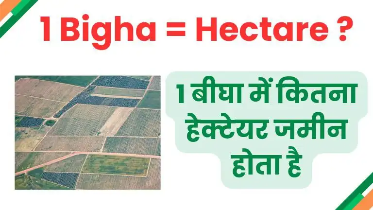 1 Bigha Mein Kitne Hectare Hote Hain